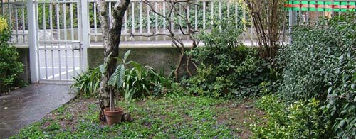 Riqualificazione di un giardino