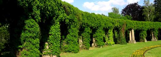 La Quercia, specializzata in progettazione e realizzazione di giardini