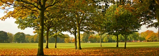 La Quercia, architettura verde, Brescia